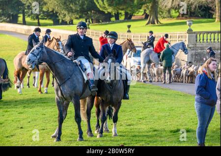 Aske Hall, Richmond, North Yorkshire, Royaume-Uni - 08 février 2020: Les chasseurs de renards se sont assis sur des chevaux avec un paquet de foxhounds anglais et un mur de pierre traditionnel Banque D'Images