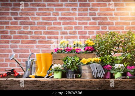 Outils De Jardinage Et Fleurs Prêts À Être Plantés Banque D'Images