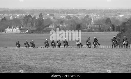 Depuis plus de 350 ans, Newmarket Town, en Angleterre, est la capitale mondiale de la race, de la force et de l'endurance. Banque D'Images