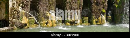 Villa D'Este - Tivoli (Le Détail De La Fontaine Ovale), Site Classé Au Patrimoine Mondial De L'Unesco - Lazio, Italie, Europe Banque D'Images