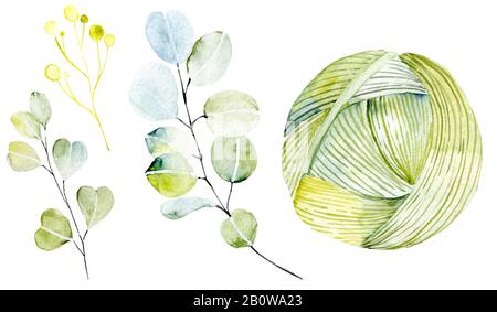 Kit de tricotage avec plantes. Fils d'aquarelle avec éléments botaniques. Eucalyptus, baies jaunes, feuillage vert, boulettes de laine, panier en osier. Illustration Banque D'Images