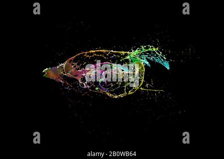 image 3d rendu artistique abstrait d'une série de formes formées par des éclaboussures de différentes couleurs sous la forme d'un poisson. concept de temps et d'unicité. Banque D'Images