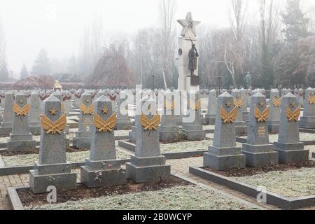 Mémorial de guerre soviétique au cimetière d'Olšany à Prague, République tchèque. Deux statues en bronze de soldats de l'armée rouge conçues par le sculpteur tchèque Jaroslav Brůha (1945) sont installées sur le pilier en pierre conçu par l'architecte tchèque Karel Beneš entouré de tombes de solders soviétiques tombés dans les derniers jours de la Seconde Guerre mondiale et morts après la guerre. Les tombes des premières rangées sont représentées après des travaux de restauration infructueux, qui ont eu lieu en décembre 2019. Banque D'Images