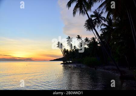 Palmiers avant le coucher du soleil, province de Gorontalo, Sulawesi, Indonésie, Asie du Sud-est Banque D'Images