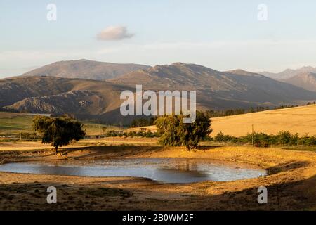 Overberg, Caledon, Western Cape, Afrique Du Sud. 2019. Vue d'ensemble d'un trou d'eau dans une ferme de la région d'Overberg, près de Caledon, Western Cape, Afrique du Sud Banque D'Images