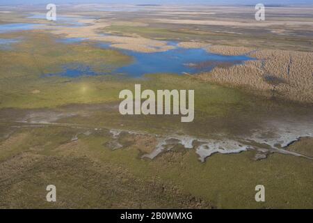 salin, méditerranée, midi, europe, outils agricoles, sel, nature, pêche, riz, lagon, calme, été, horizon, palenque, bleu, fermier, eau, texture, Banque D'Images