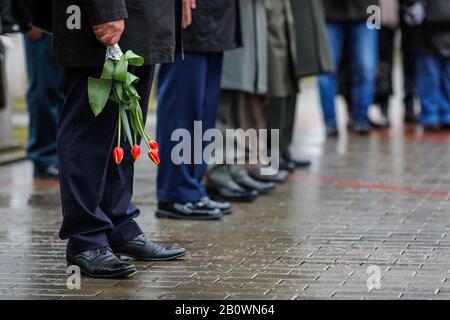 Faible profondeur de champ (mise au point sélective) avec un homme tenant des tulipes sur un froid jour pluvieux. Banque D'Images