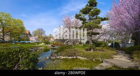 Jardin Japonais À Bad Langensalza, Thuringe, Allemagne, Europe Banque D'Images