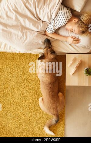 Vue à grand angle de la jeune femme posée au lit et malade avec son chien allongé près d'elle dans la chambre à la maison Banque D'Images
