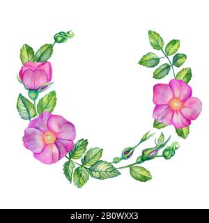 Couronne d'aquarelle avec rose sauvage. Fleurs roses, feuilles, bourgeons et bouquet isolés sur fond blanc avec place pour le texte. Cartes de mariage dessinées à la main de Banque D'Images