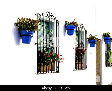 Façade typique des maisons de Mijas, Malaga, décorée de fleurs en pots bleus et de façades blanches Banque D'Images