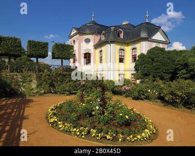 Château Rococo des châteaux de Dornburg, Dornburg, Thuringe, Allemagne, Banque D'Images