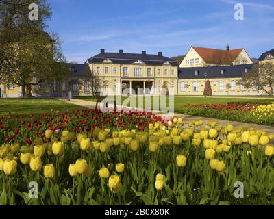 Orangery avec tulipes à Gera, Thuringe, Allemagne, Banque D'Images