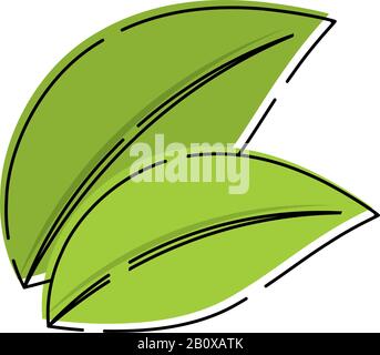 L'icône de feuilles isolées Illustration de Vecteur