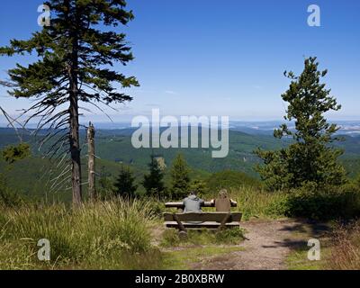 Vue de l'Inselsberg à la Forêt thuringeoise, Thuringe, Allemagne, Banque D'Images