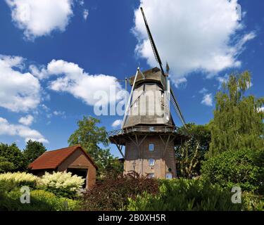 Holländerwindmühle, Hinte, Landkreis Aurich, Frise Orientale, Basse-Saxe, Allemagne, Banque D'Images