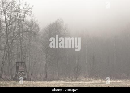 Haut point au bord de la forêt dans le brouillard, Banque D'Images