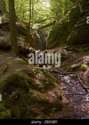 Dragon Gorge Près D'Eisenach, Thuringe, Allemagne, Banque D'Images