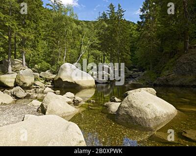 L'Oker À Okertal Près De Goslar, Basse-Saxe, Allemagne, Banque D'Images