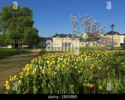 Orangery avec tulipes et magnolias en fleurs, Gera, Thuringe, Allemagne, Banque D'Images