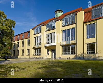 Bauhaus Université Weimar, Thuringe, Allemagne, Banque D'Images