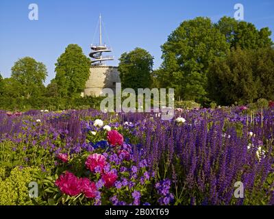 EGA-Park, lit de pivoine (pivoines) avec tour d'observation à Erfurt, Thuringe, Allemagne, Banque D'Images