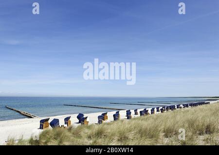 Chaises de plage Kurhaus extra-larges sur la plage à Ahrenshoop, Fischland Darß Zingst, mer Baltique côte mecklembourgeoise, Mecklenburg-Ouest Pomerania, Allemagne, Banque D'Images