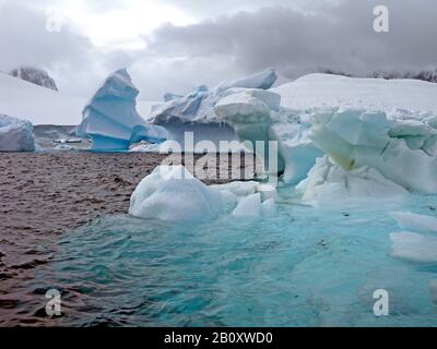 Icebergs À Port Lockroy, Antarctique, Wiencke-Insel, Palmer-Archipel Banque D'Images