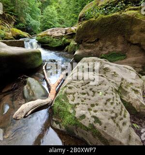 Rapides appelés Irreler Wasserfaelle du Parc naturel de l'Eifel Sud, Allemagne, Rhénanie-Palatinat, Eifel, Irrel Banque D'Images