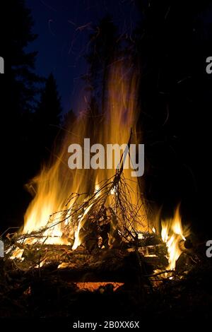 Feu de joie dans la forêt polonaise, Pologne Banque D'Images