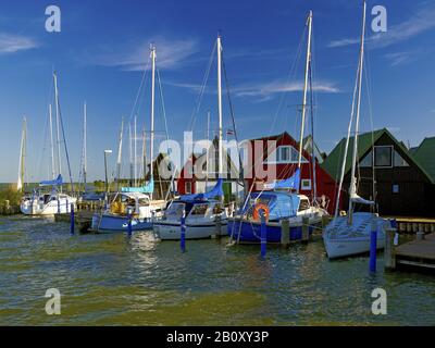 Bateaux à voile dans le port d'Althagen près d'Ahrenshoop, Fischland-Darss-Zingst, Mecklembourg-Poméranie-Occidentale, Allemagne, Banque D'Images