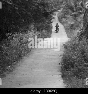 Conducteur cyclomoteur dans la jungle, Thaïlande, Asie, Banque D'Images