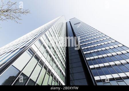 DZ Bank Tower, gratte-ciel SELMI, Platz der Republik, Francfort-sur-le-Main, Hesse, Allemagne, Banque D'Images