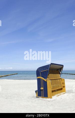 Chaises de plage Kurhaus extra-larges sur la plage à Ahrenshoop, Fischland Darß Zingst, mer Baltique côte mecklembourgeoise, Mecklenburg-Ouest Pomerania, Allemagne, Banque D'Images