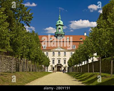 Avenue menant au château de Lichtenwalde, Saxe, Allemagne, Banque D'Images