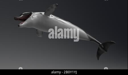 Animation Dolphin de l'arrière-plan, rendu 3d Banque D'Images