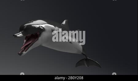 Animation Dolphin de l'arrière-plan, rendu 3d Banque D'Images