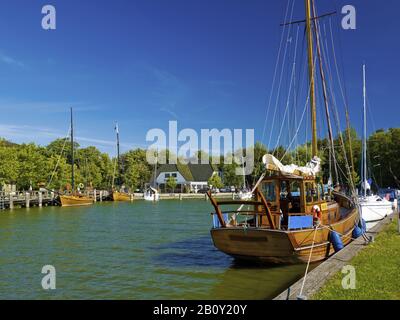 Hafen Althagen À Ahrenshop, Fischland-Darss-Zingst, Mecklembourg-Poméranie-Occidentale, Allemagne, Banque D'Images