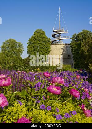 EGA-Park, lit de pivoine (pivoines) avec tour d'observation à Erfurt, Thuringe, Allemagne, Banque D'Images