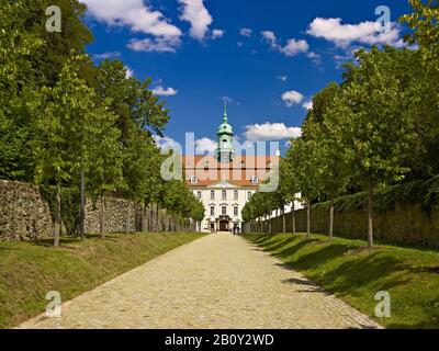 Avenue menant au château de Lichtenwalde, Saxe, Allemagne, Banque D'Images