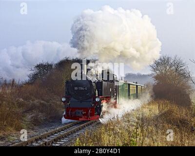 Rasender Roland chemin de fer étroit, île de Ruegen, Mecklembourg-Poméranie-Occidentale, Allemagne, Banque D'Images