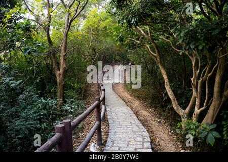Escalier en pierre, escalier, sentier, sentier, sentier, route de campagne, allée, voie dans la forêt de Hong Kong comme arrière-plan, sentiers de la nature Tsing Yi Banque D'Images
