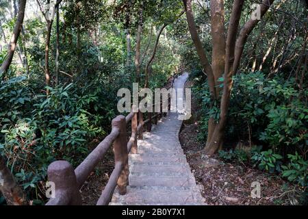 Escalier en pierre, escalier, sentier, sentier, sentier, route de campagne, allée, voie dans la forêt de Hong Kong comme arrière-plan, sentiers de la nature Tsing Yi Banque D'Images