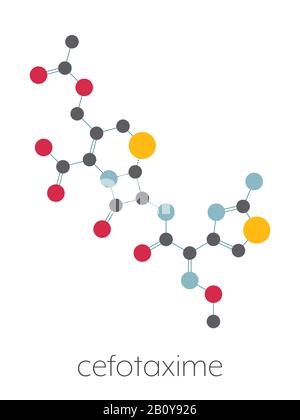 Molécule de médicament antibiotique cefotaxime, illustration Banque D'Images