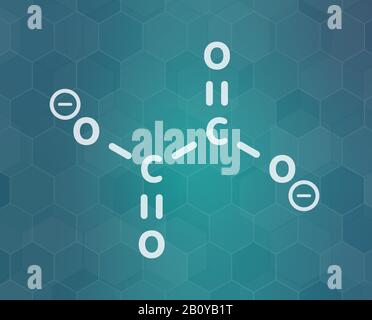 Structure chimique de l'anion oxalate, illustration Banque D'Images