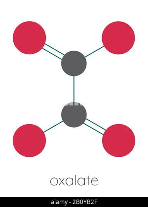 Structure chimique de l'anion oxalate, illustration Banque D'Images