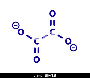 Structure chimique de l'anion oxalate, illustration Banque D'Images