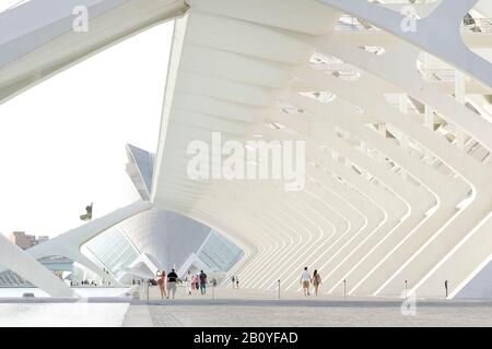 Architektur von Santiago Calatrava, Museo de las Ciencias principe Felipe, Ciudad de las Artes y las Ciencias, Valencia, Espagne, Banque D'Images