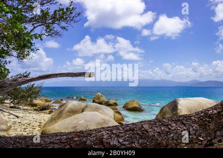 Une branche de pins brisés dans le contexte dramatique de l'Australie tropicale du Queensland près de Nudey Beach sur l'île Fitzroy. Banque D'Images