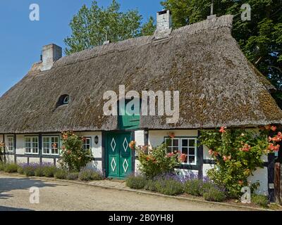 Maison à Sieseby an der Schlei, district de Rendsburg-Eckernförde, Schleswig-Holstein, Allemagne, Banque D'Images